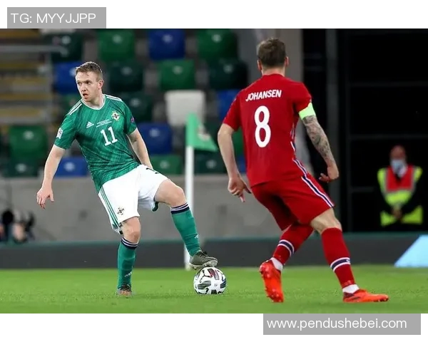 北爱尔兰与挪威比赛水位分析及投注建议探讨